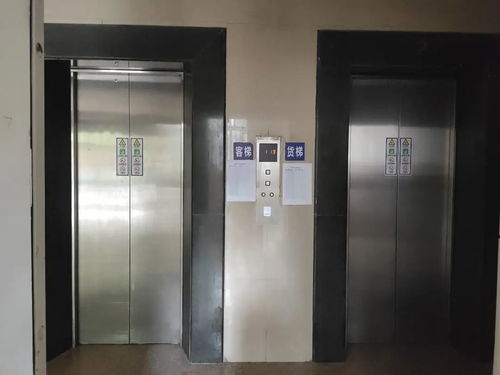 教育省心 軌交便捷 塘橋板塊東方匯景苑中等戶型電梯房深度測(cè)評(píng)